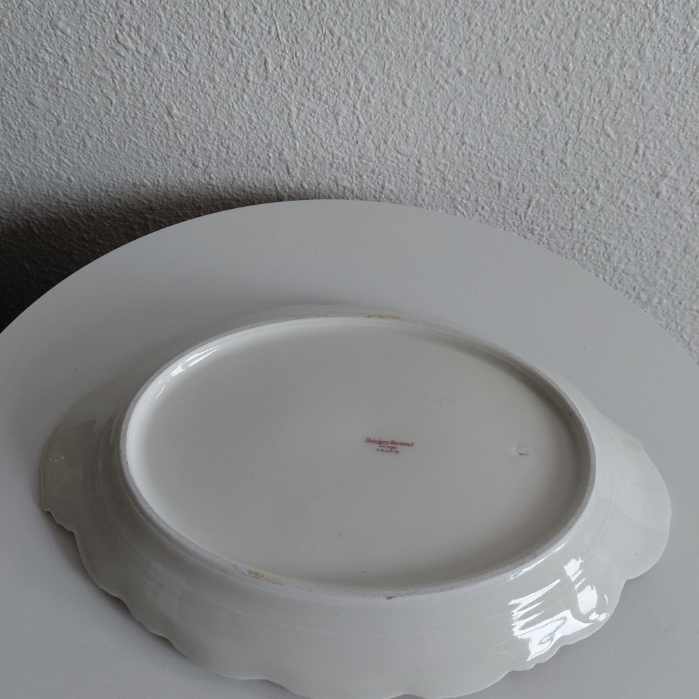 Limoge Teodor Haviland France Oval Serving  Porcelain  Floral Gold Trim Plate - Picture 11 of 16